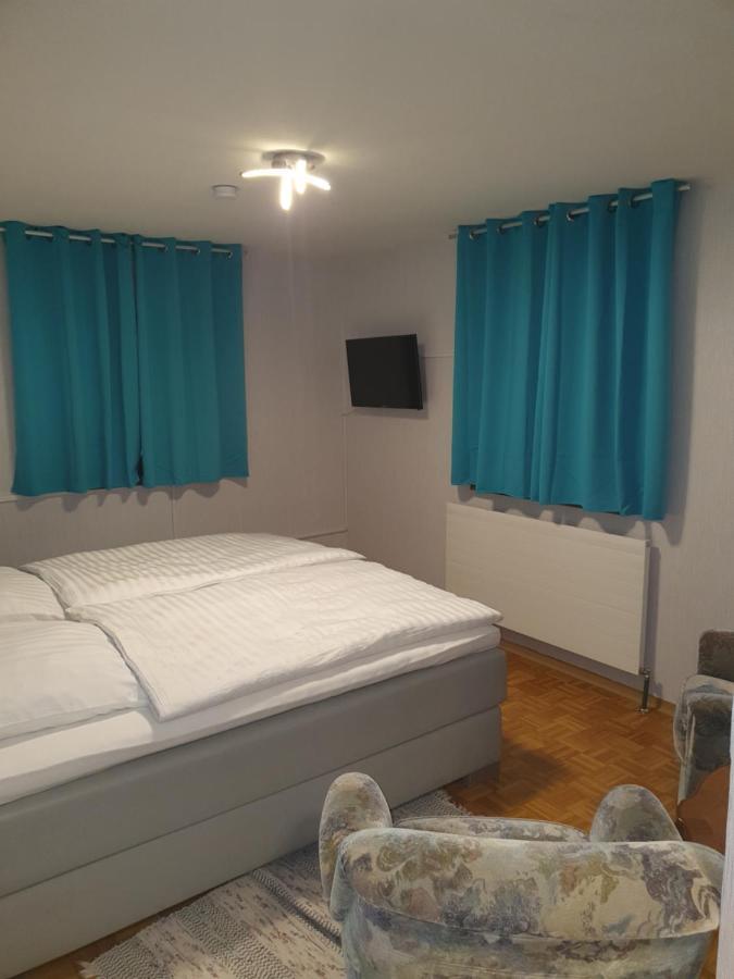 הופגרטן אים בריקסנטל Haus Geigenmacher מראה חיצוני תמונה