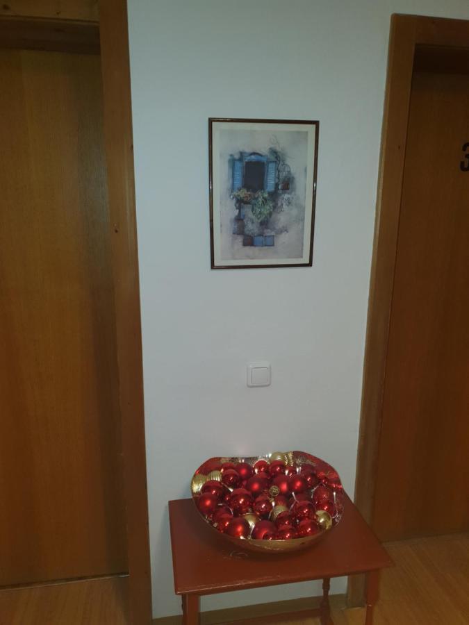 הופגרטן אים בריקסנטל Haus Geigenmacher מראה חיצוני תמונה
