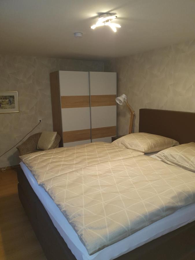 הופגרטן אים בריקסנטל Haus Geigenmacher מראה חיצוני תמונה