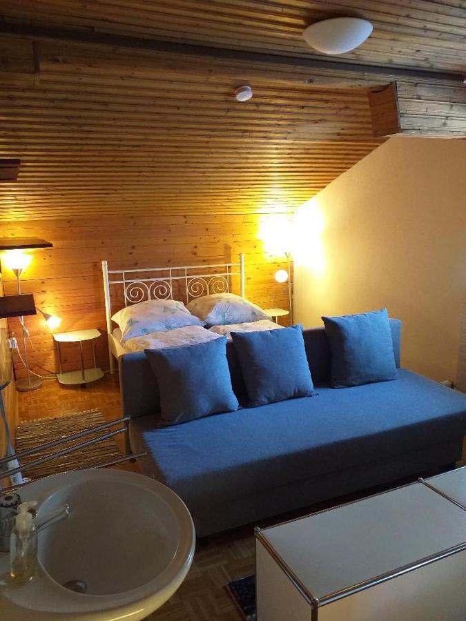 הופגרטן אים בריקסנטל Haus Geigenmacher מראה חיצוני תמונה
